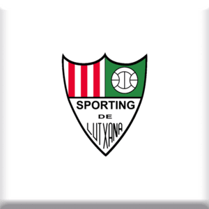 Logo imán